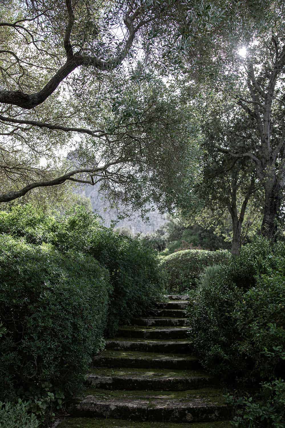 A magical staircase leading through a Majorcan forest