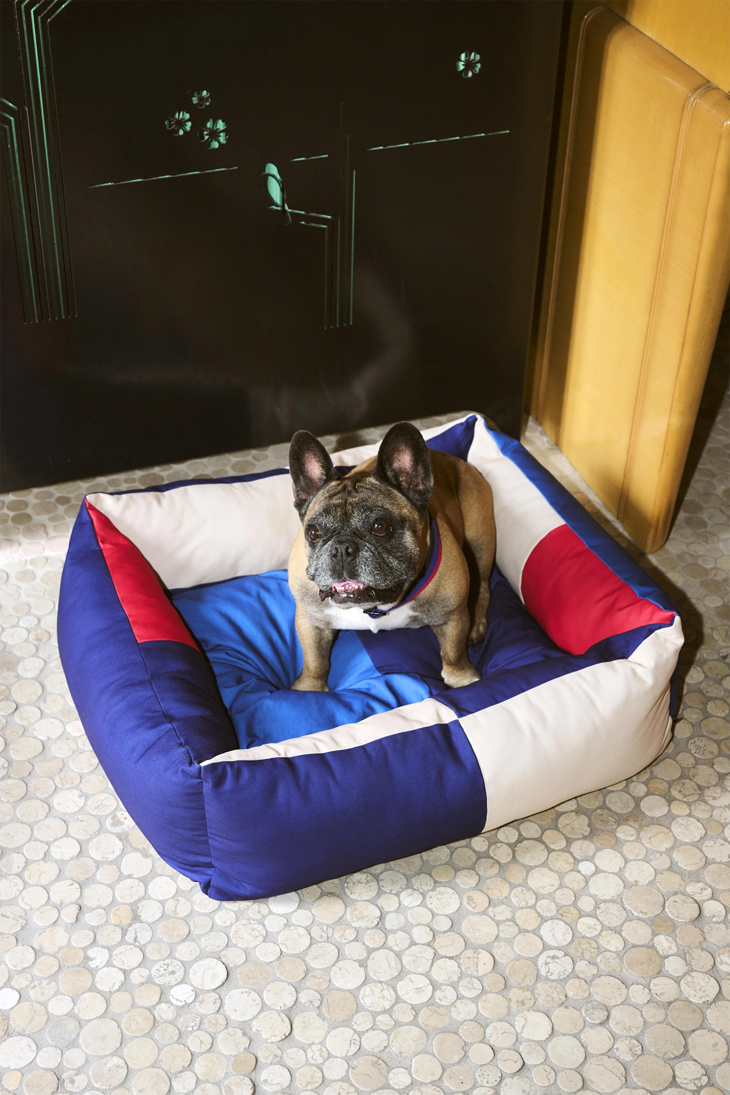 HAY Dogs Bed M red and blue HAY Dogs Collar Flat red and blue
