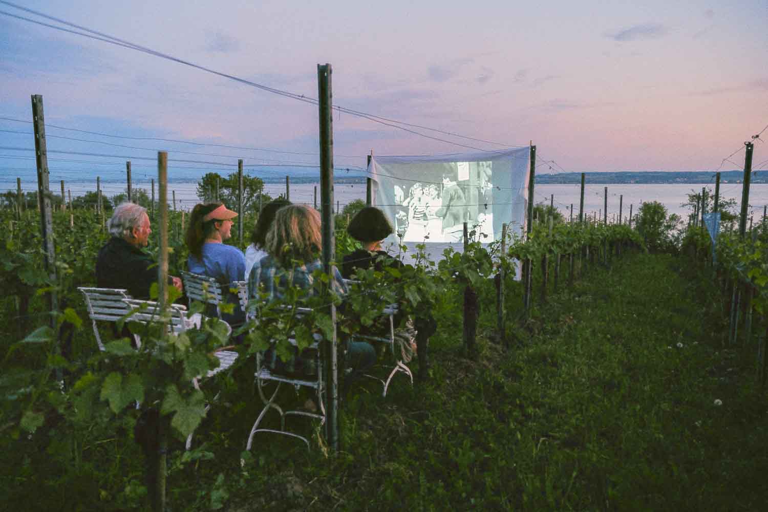Im Weinberg mit Blick auf den See finden auch Abendveranstaltungen statt. Foto: Weingut Aufricht